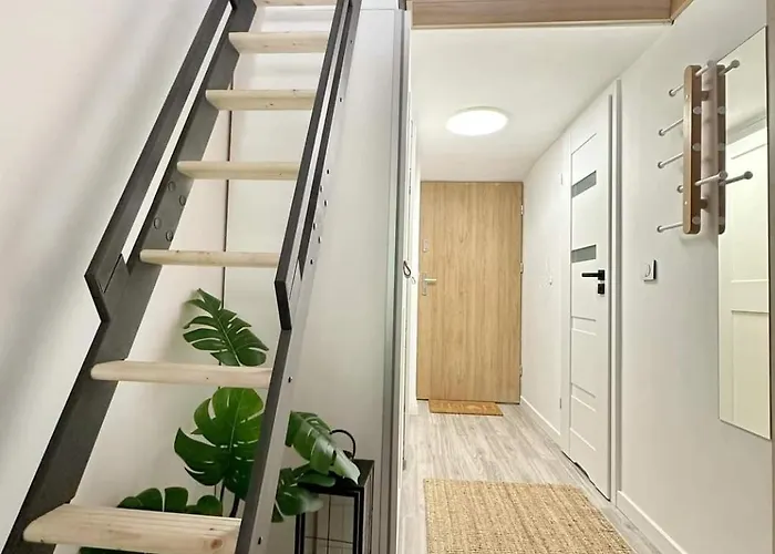 Hola Rewolucji 1905r