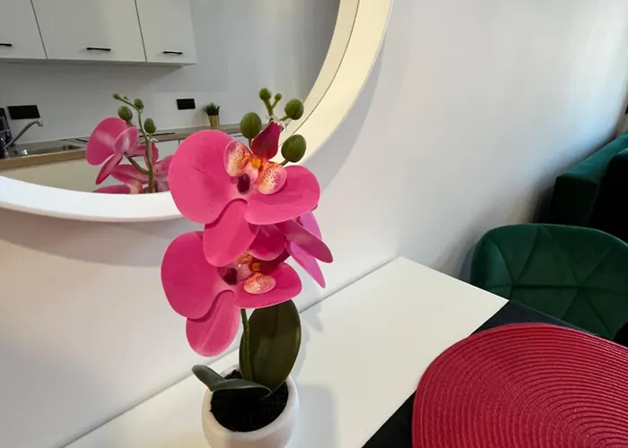 Hola Rewolucji 1905r